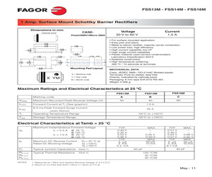 FSS13M.pdf