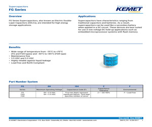 FG0H105ZF.pdf