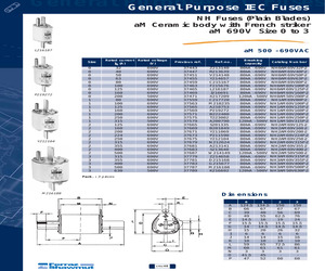 NH1AM69V125P-2.pdf