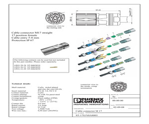 ST-17S1N8A8003.pdf