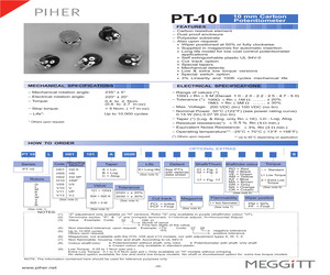 PT10MV10104A2020IPM.pdf