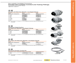 P100NBKA.pdf