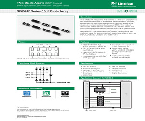 SP0524-PUTG.pdf