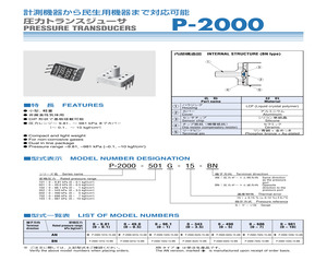 P-2000-101G-15-BN.pdf