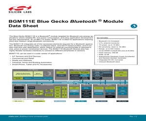 BGM111E256V2R.pdf