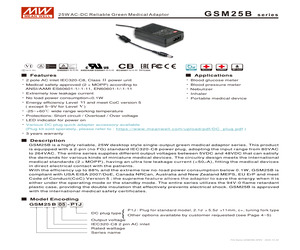 GSM25B12-P1J.pdf