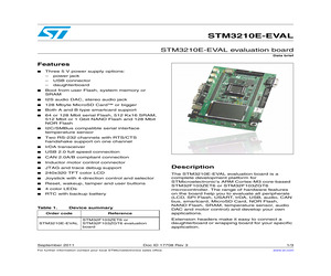 STM3210E-EVAL.pdf