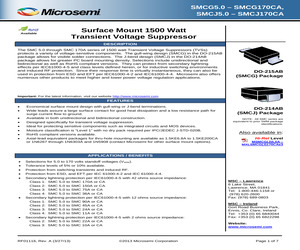 SMCJ110A.pdf