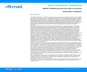 ATSAMR21G16A-MUT.pdf