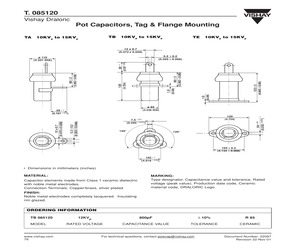 T. 085120.pdf