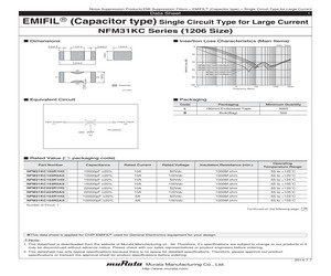 NFM31KC104R2A3L.pdf