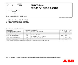 5SMY12J1200.pdf