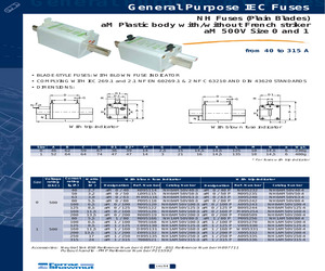 NH0AM50V100-3.pdf