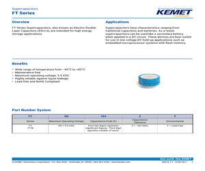 FT0H105ZF.pdf