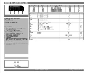 SKBB250C1000L5B.pdf