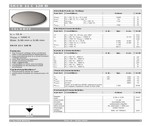 SKCD11C120I3.pdf