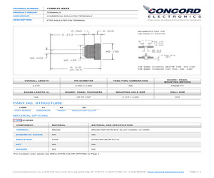 1100R-51-0519.pdf