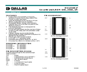 DS1216E-F.pdf