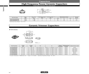 TZB4Z060BB10M00.pdf