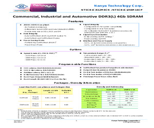 NT5CC256M16CP-DI.pdf