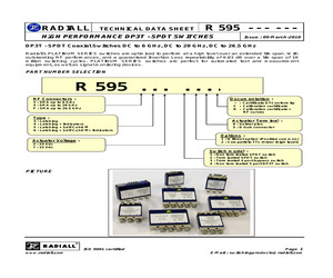 R595467225.pdf