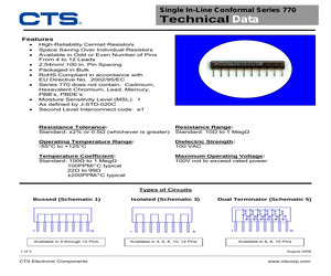 770103330P.pdf