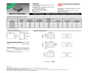 PT23101.pdf