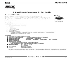 NJU26202FN2.pdf