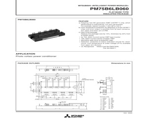 PM75B6LB060.pdf