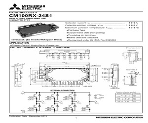 CM100RX-24S1.pdf