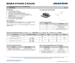 PTFA220121MV4R1.pdf