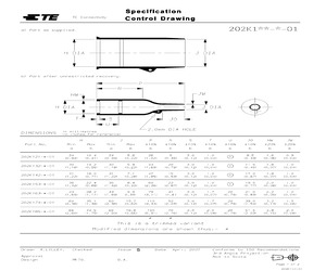 202K111-25-01-0.pdf