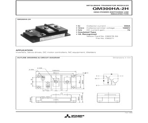 QM300HA-2H.pdf