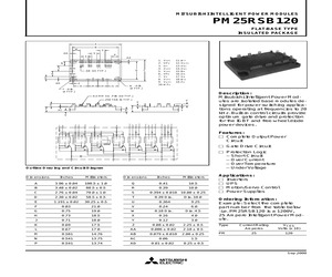 PM25RSB120.pdf