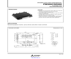 PM300CSA060.pdf