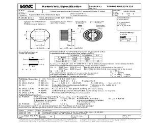 T60405-R6123-X210.pdf