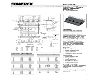 PS21562-SP.pdf