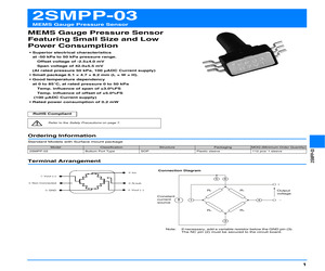 CY5991.pdf