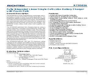 RT9503AGQW.pdf