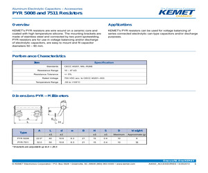 PYC6041.pdf