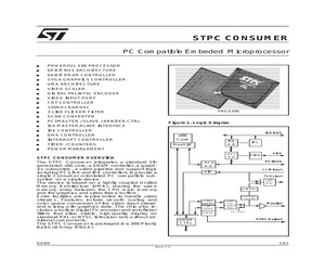 STPCCONSUMER.pdf