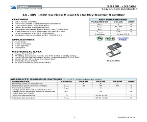 SS13MHRSG.pdf