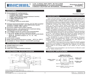 SY89873LMG.pdf