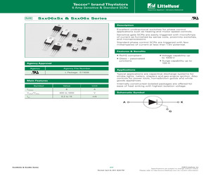 SK006RS2TP56.pdf