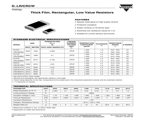 D110603072707JPNLR.pdf