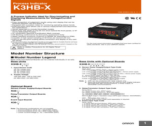 K3HB-XAA 24VAC/VDC.pdf