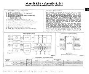 AM9131BDM.pdf