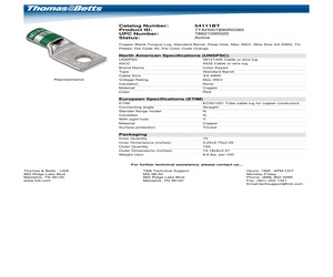 54111BT.pdf