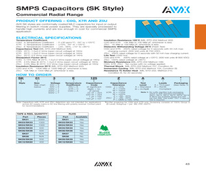 SK045C114MBA.pdf