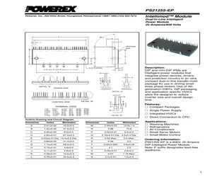 PS21255-EP.pdf